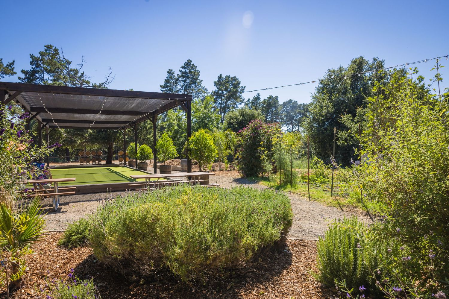 Lush garden landscape with pergola, picnic area, manicured lawn, and tall trees under a clear blue sky.