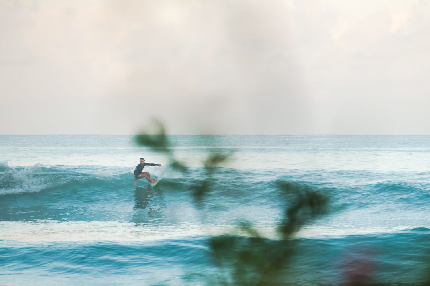 Surfer catches a wave on turquoise ocean with blurred foliage in foreground.
