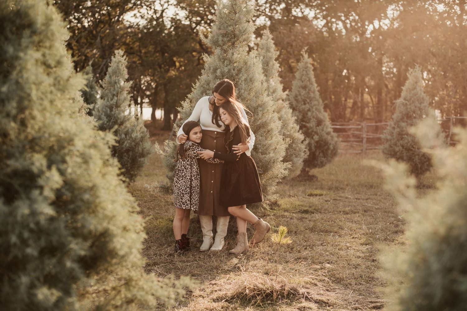 Fort Worth Christmas Minis Photographer