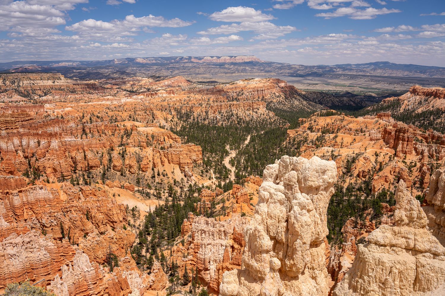 Panoramic view of Bryce Canyon's red rock hoodoos and amphitheaters stretching across the horizon under blue skies.