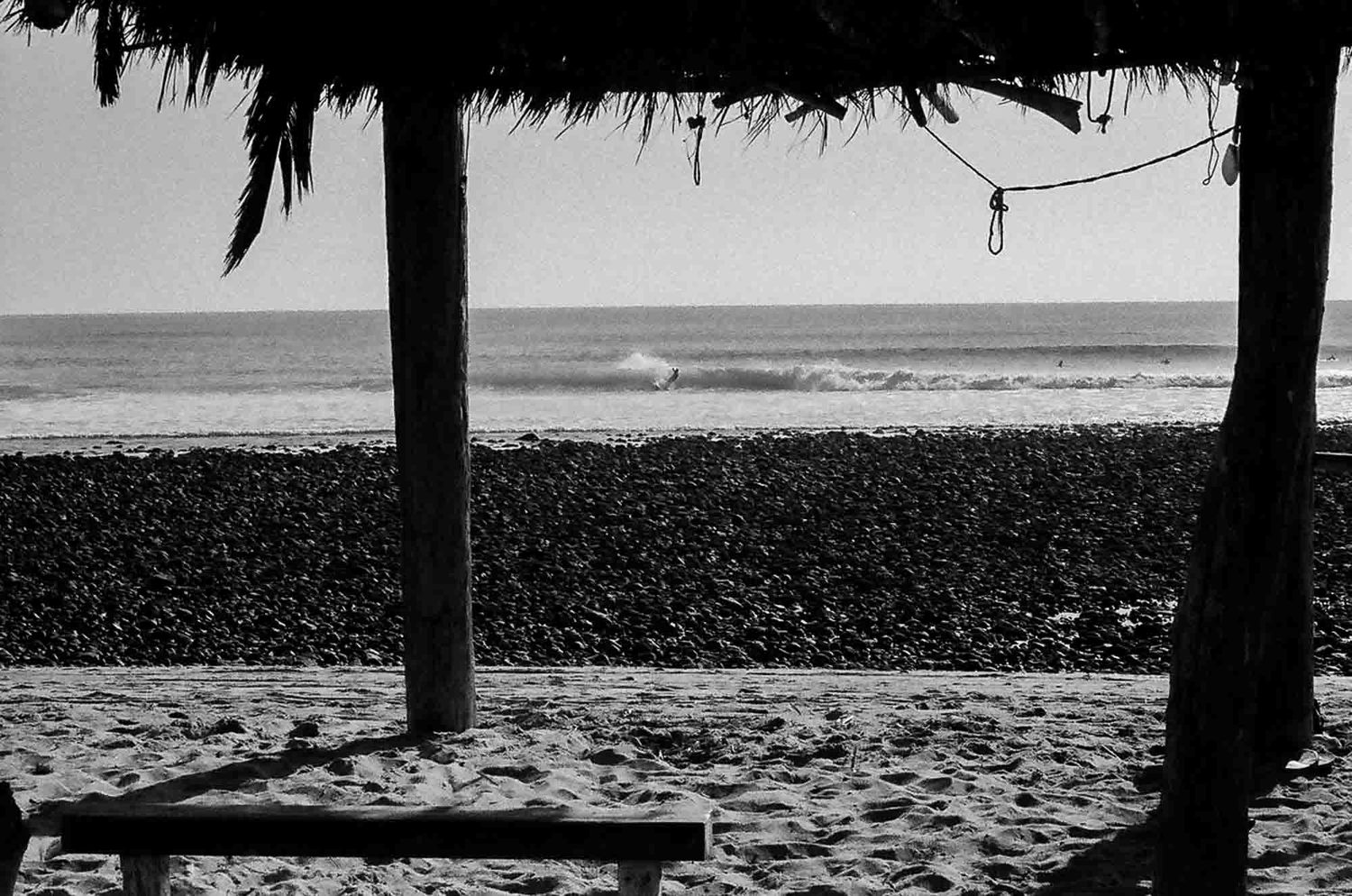 A black and white panoramic view of a palm-lined beach with waves crashing on the shore and mountains in the distance.