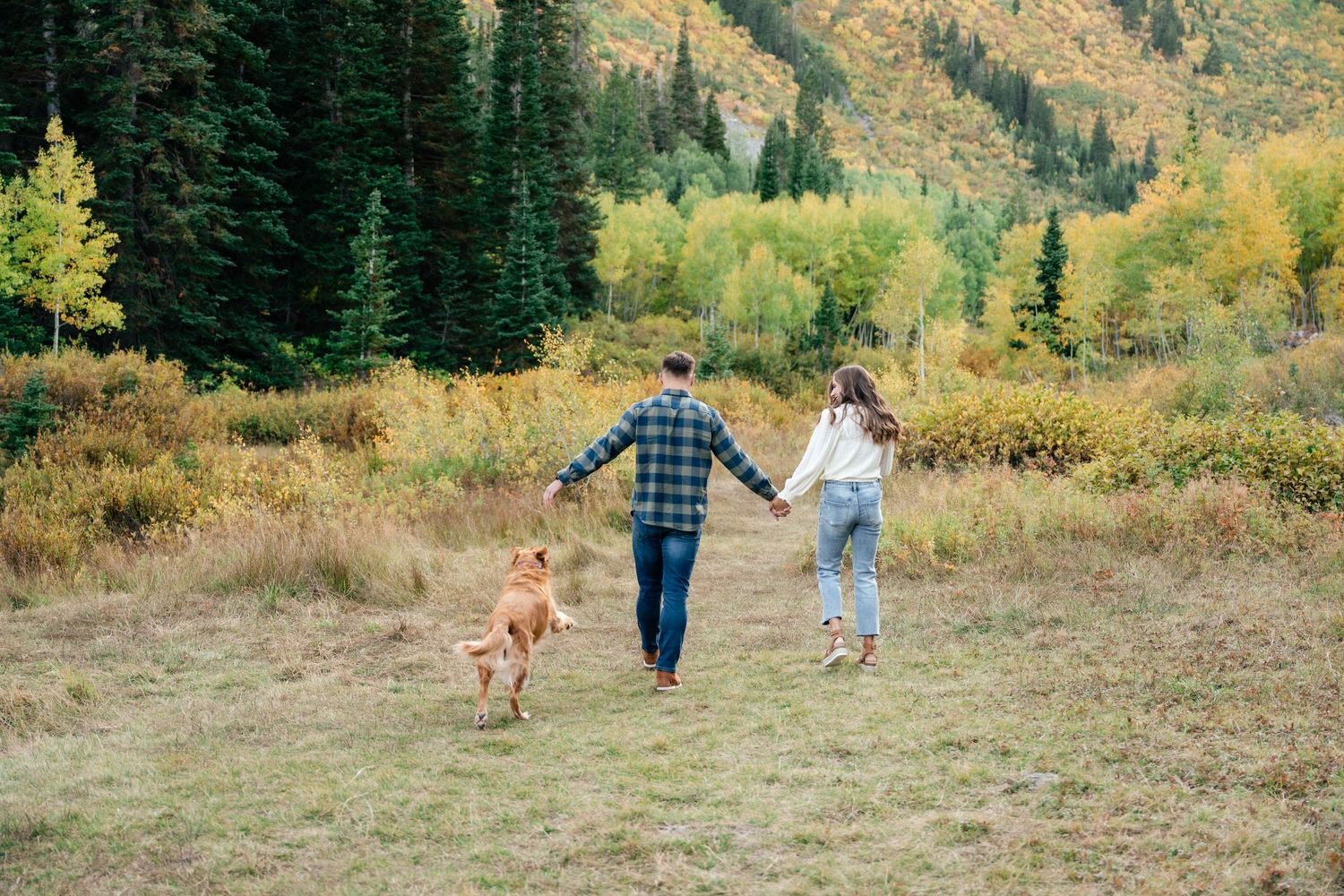 A couple in casual attire runs through a mountain meadow with their golden retriever dog during autumn.