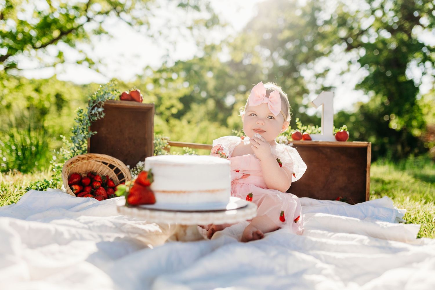 Lawrence County OH Cake Smash Photographer | Bailey's Photography, LLC | Berry Sweet Birthday Photos