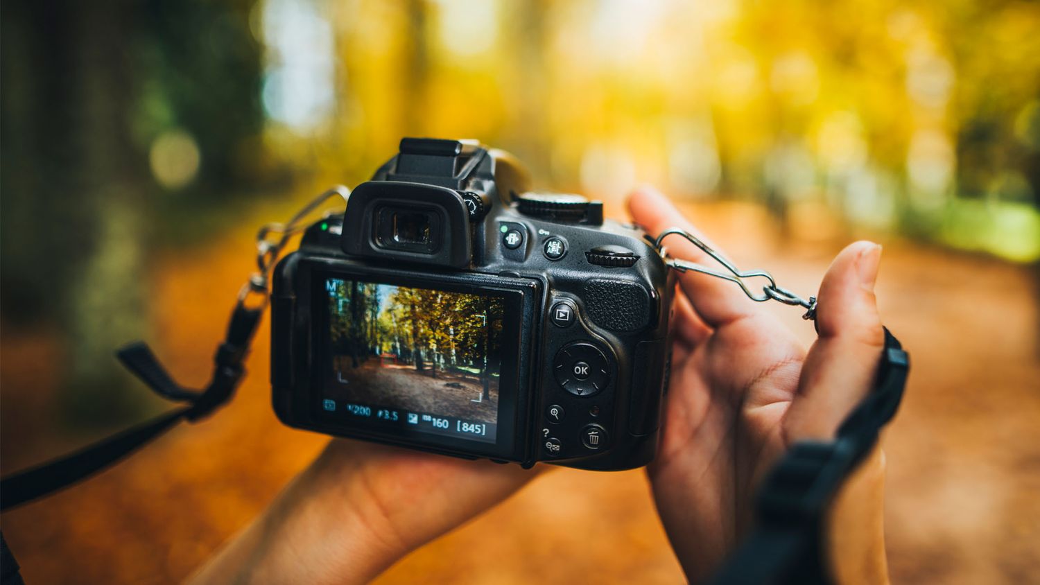 Close-up shots of digital camera being operated with autumn colors in background.