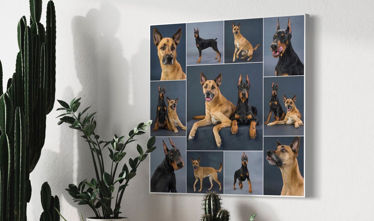 Professional pet photography high end wall piece