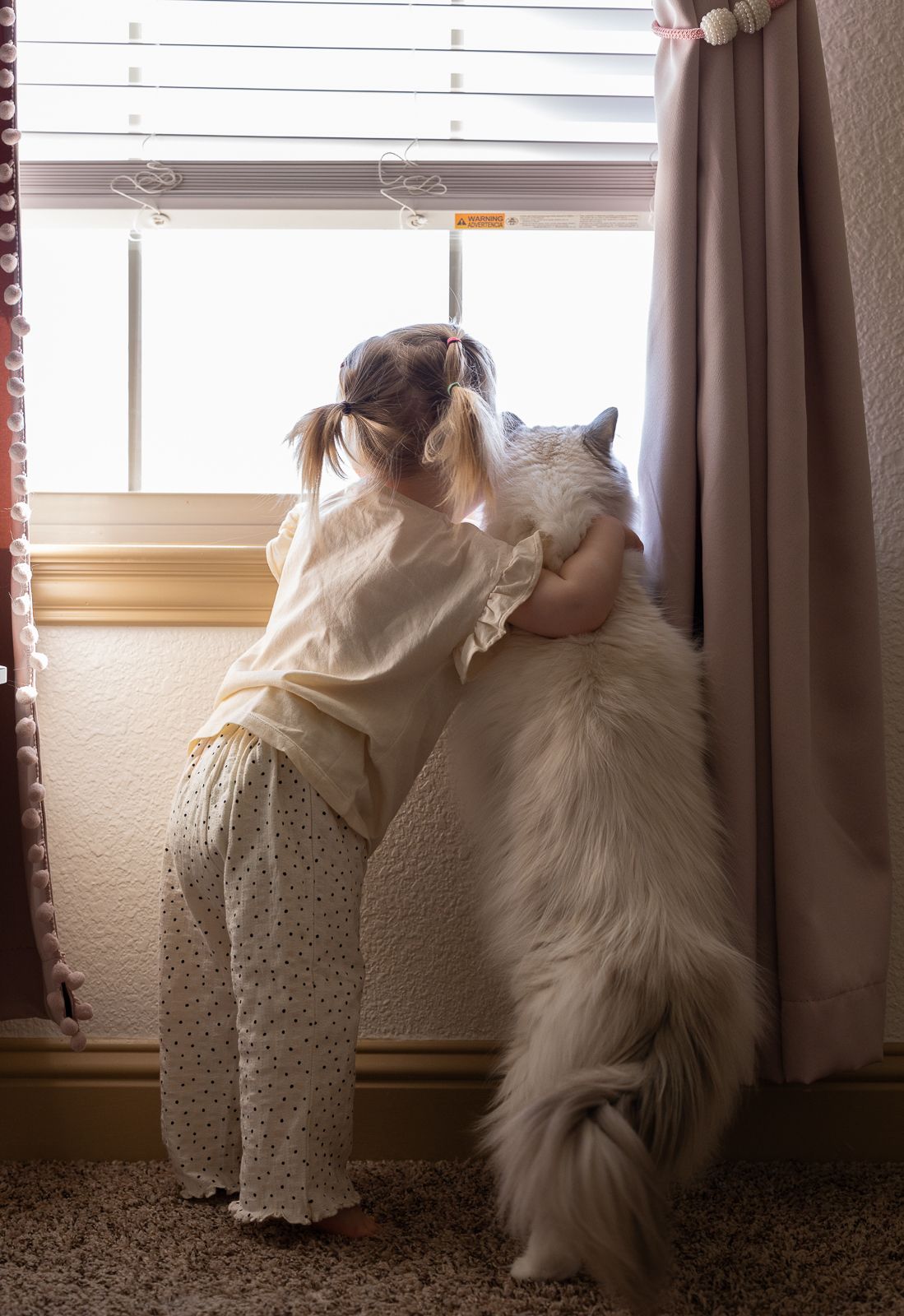 A fuzzy white Samoyed dog stands on hind legs looking out a window with someone in beige clothing by their side.