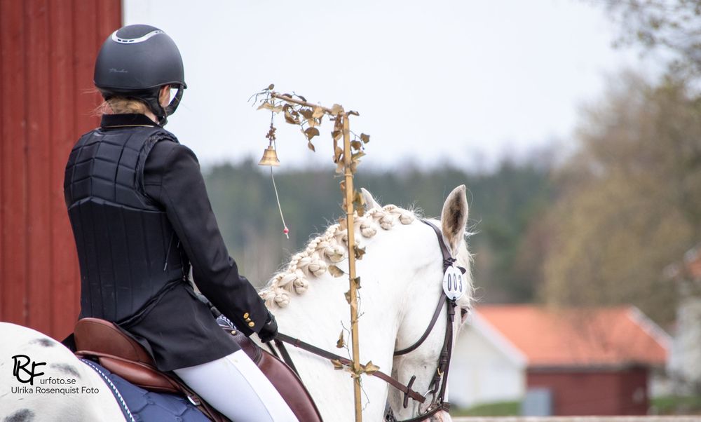 working-equitation-lmstad-rid-k-rs-llskap-2025-ulrika