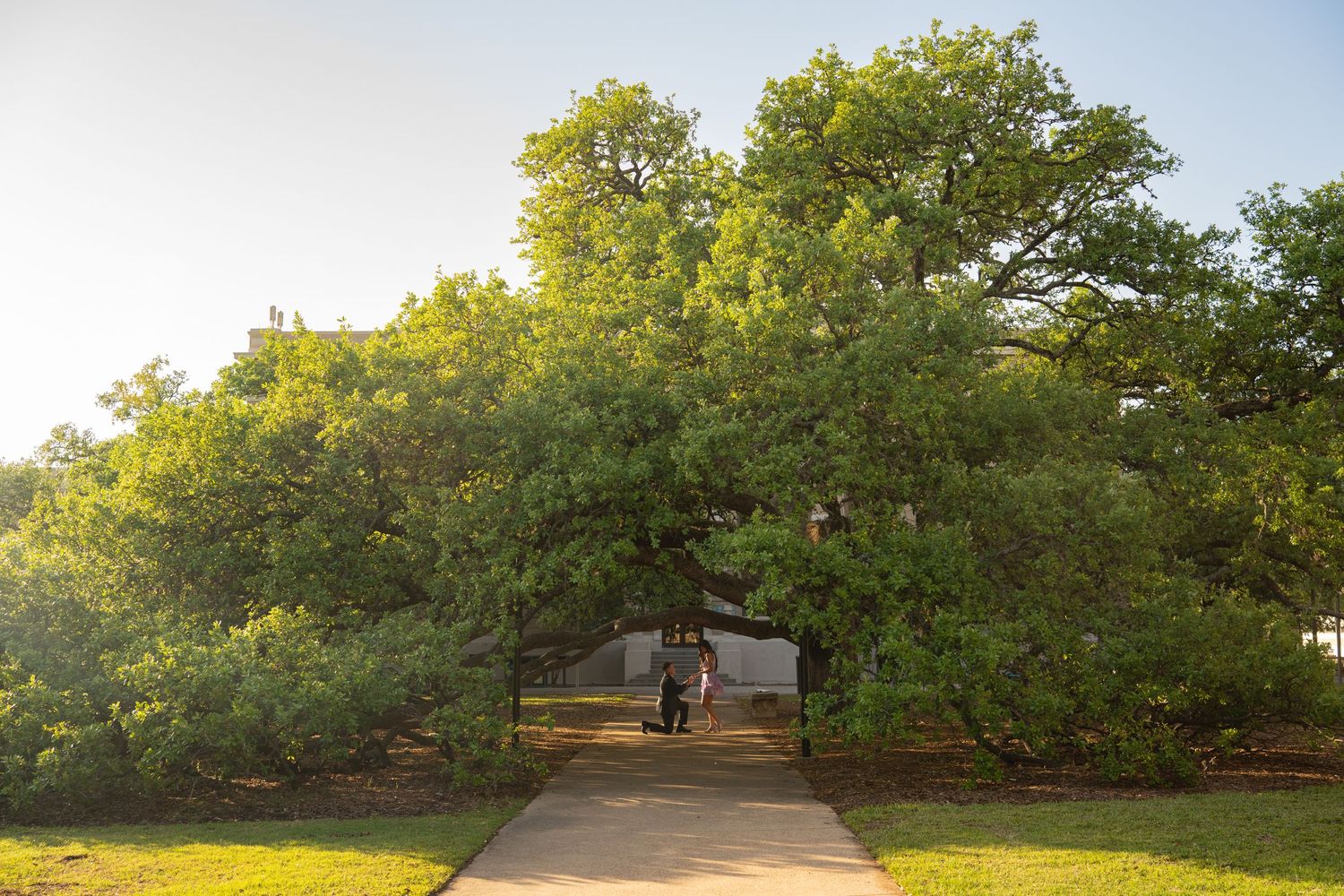 Person walking on a paved path through green trees and foliage in a park during golden sunset light.