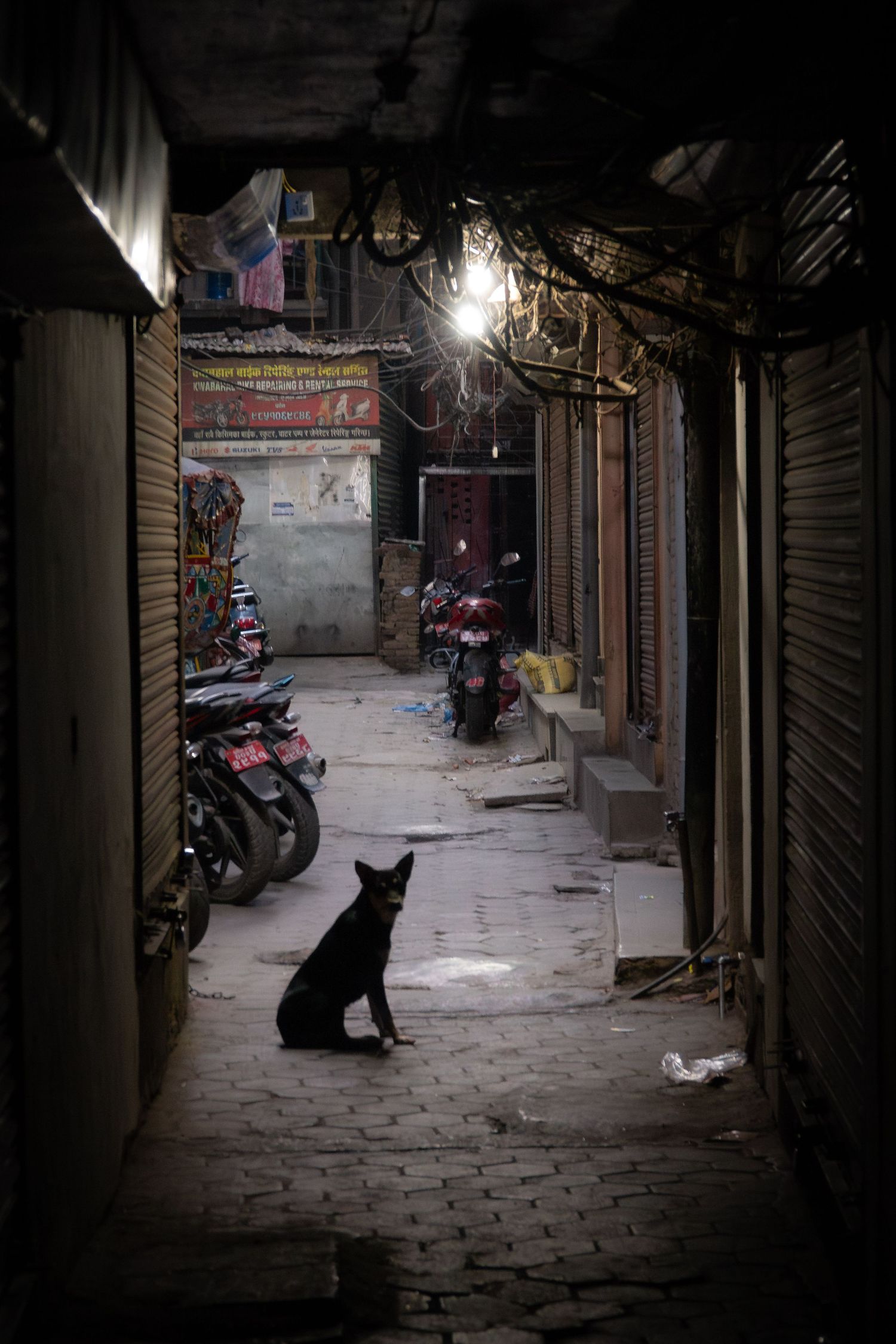 Black cat sits in dim alley with parked motorcycles and traditional Asian architecture visible.