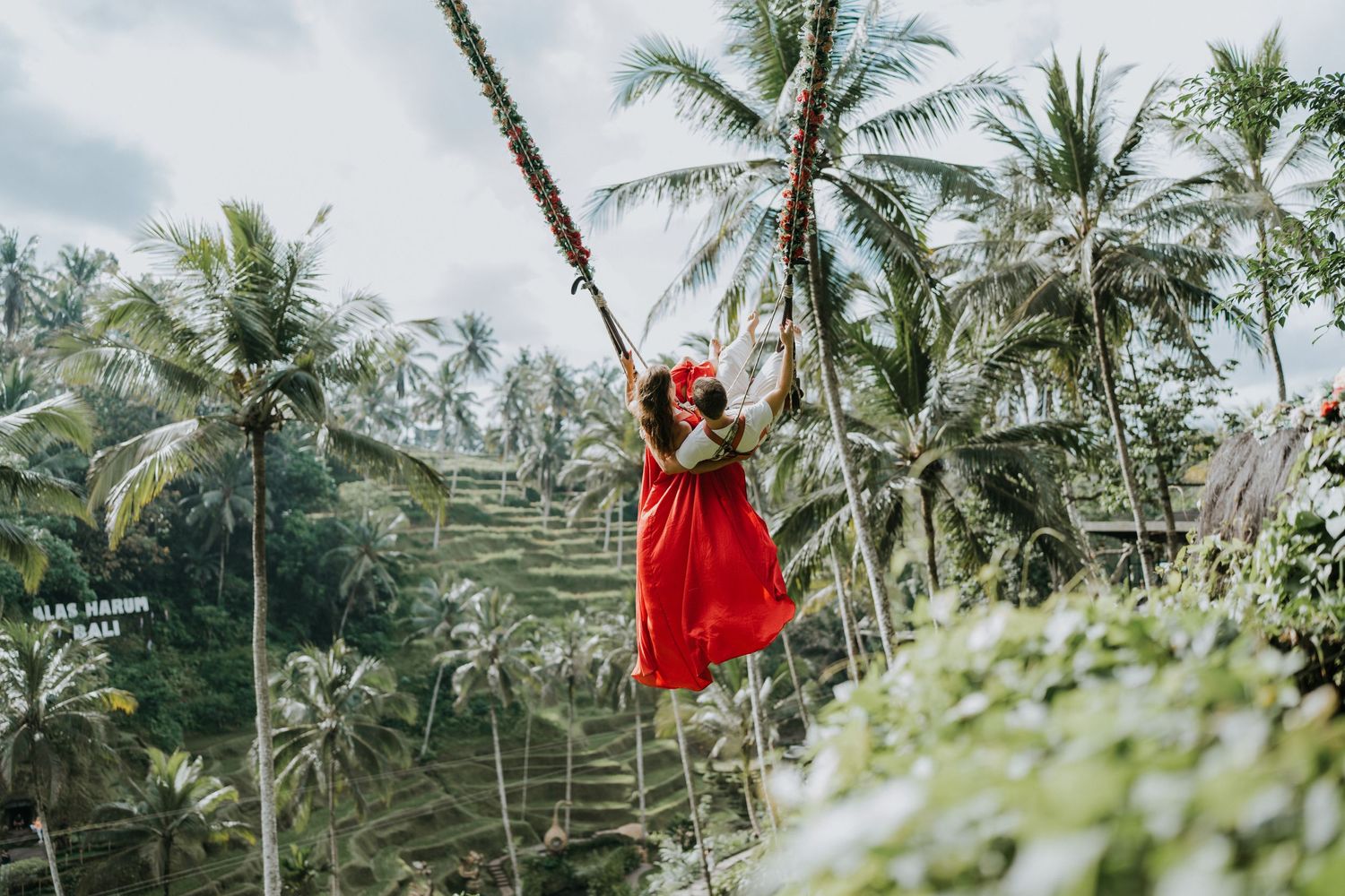Elevated view of a wooden observation deck surrounded by palm trees and tropical greenery.