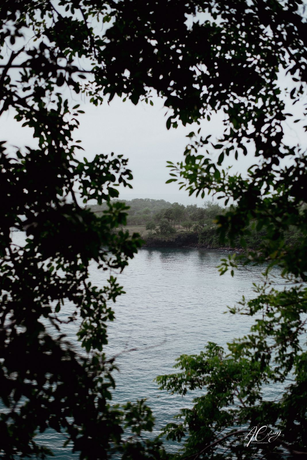 Serene lake view framed by silhouetted tree branches and leaves.
