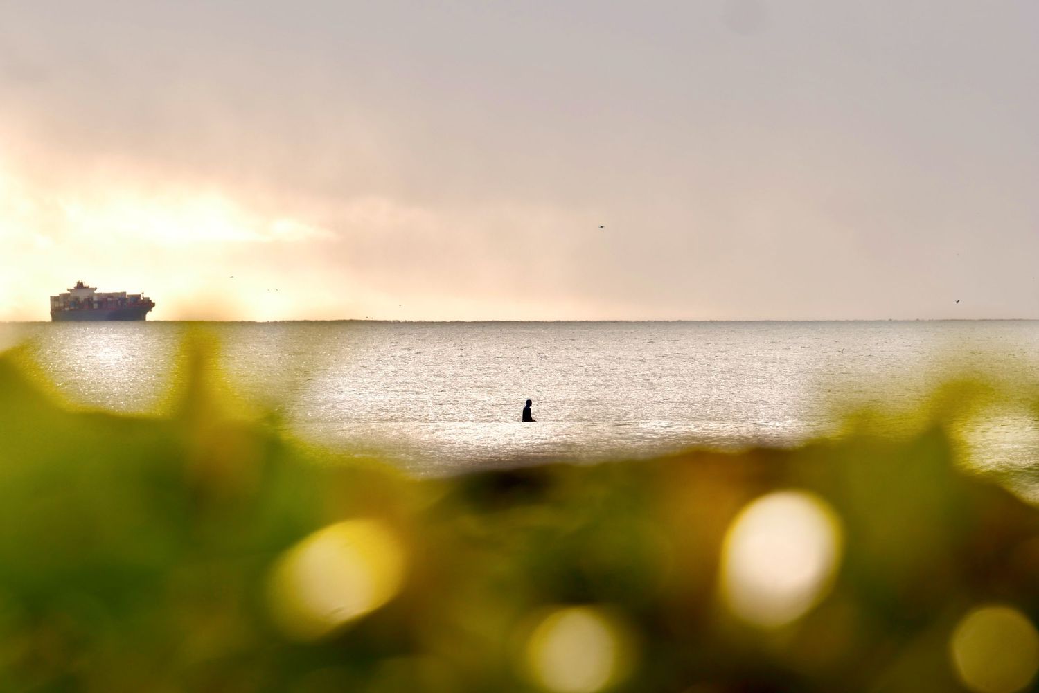 Lone surfer sits on calm ocean water at sunrise as a cargo ship sails on the horizon, framed by blurred green foliage and golden bokeh.