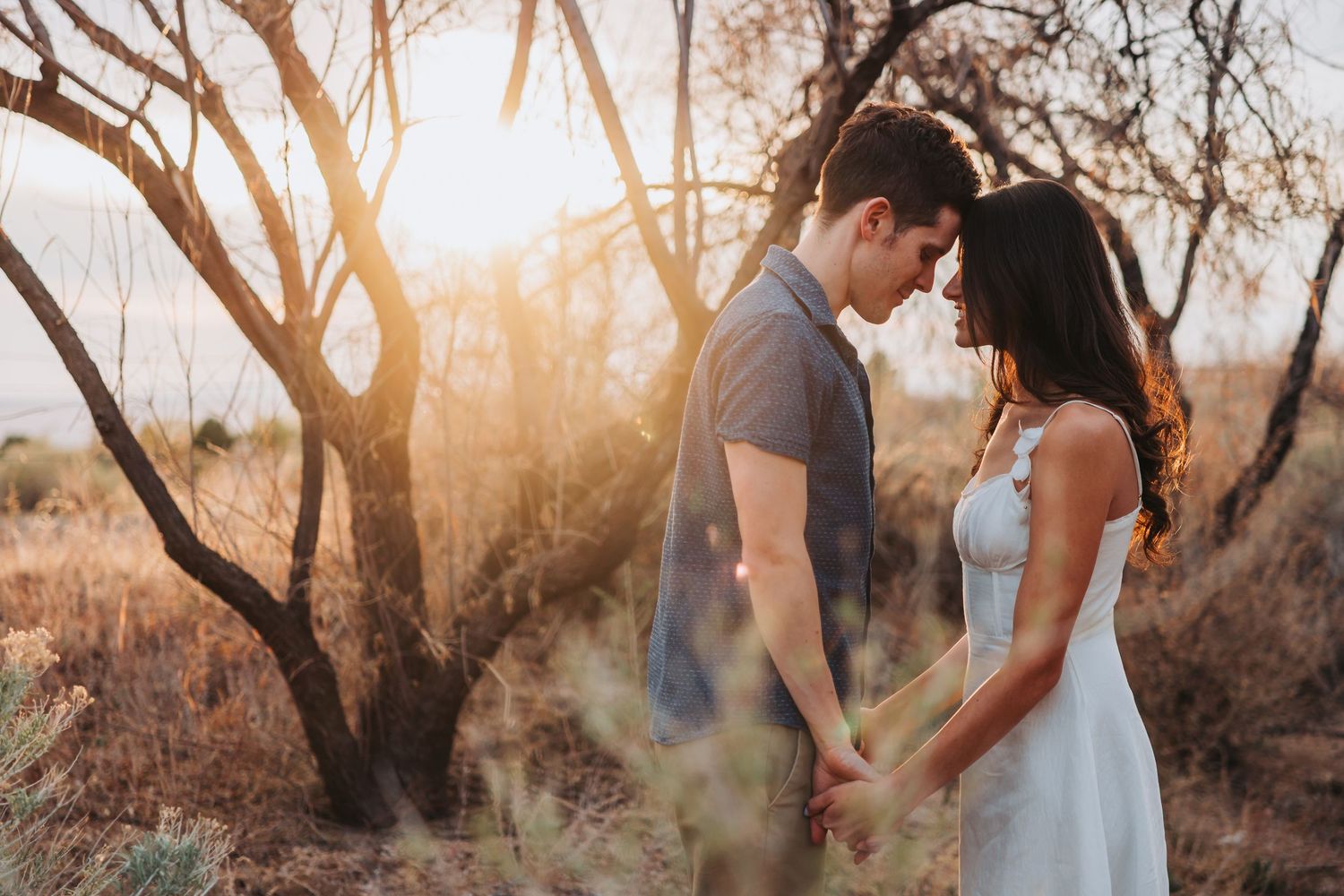 A romantic silhouette of a couple holding hands in golden sunlight among trees during sunset.