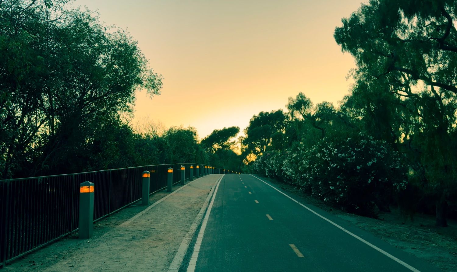 A scenic road bridge lined with glowing bollards winds through lush green trees at sunset with a warm orange sky.