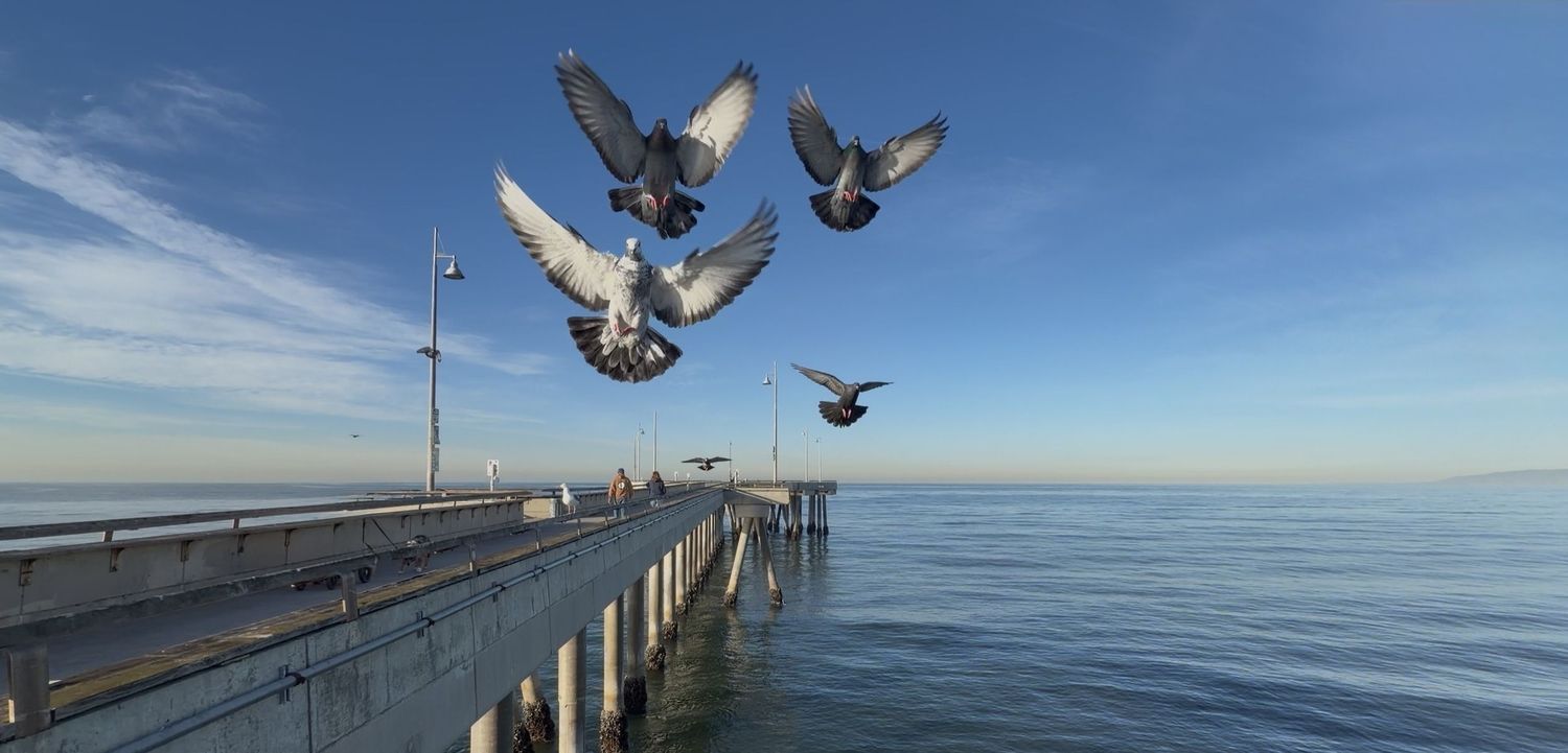 Scenic ocean pier stretches into calm blue waters under bright sunny sky with seagulls flying overhead.