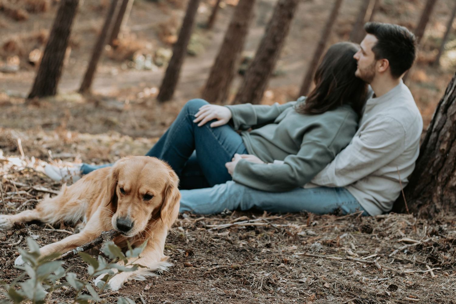Couple sitting against a tree in a forest with their golden retriever dog lying in the foreground.
