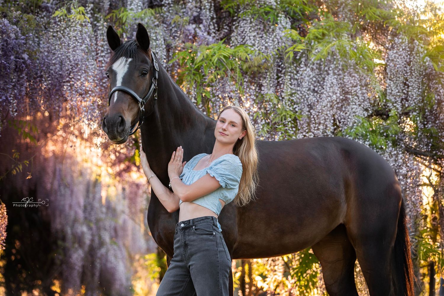 Fotoshoot met paard voor mooie blauwe regens in Overijssel Nederland.