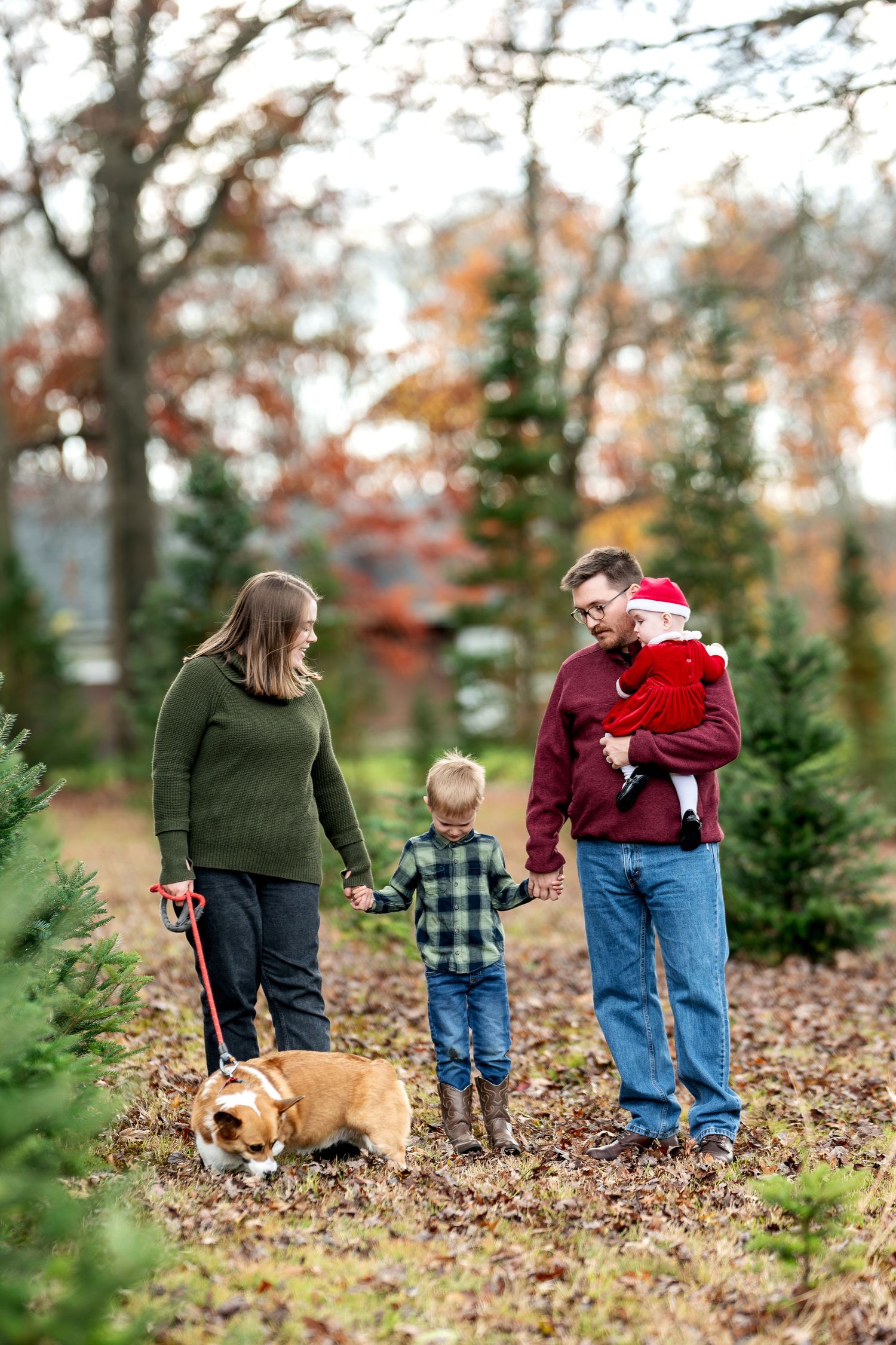 Family with young children and corgi dog walking among pine trees on fallen autumn leaves.