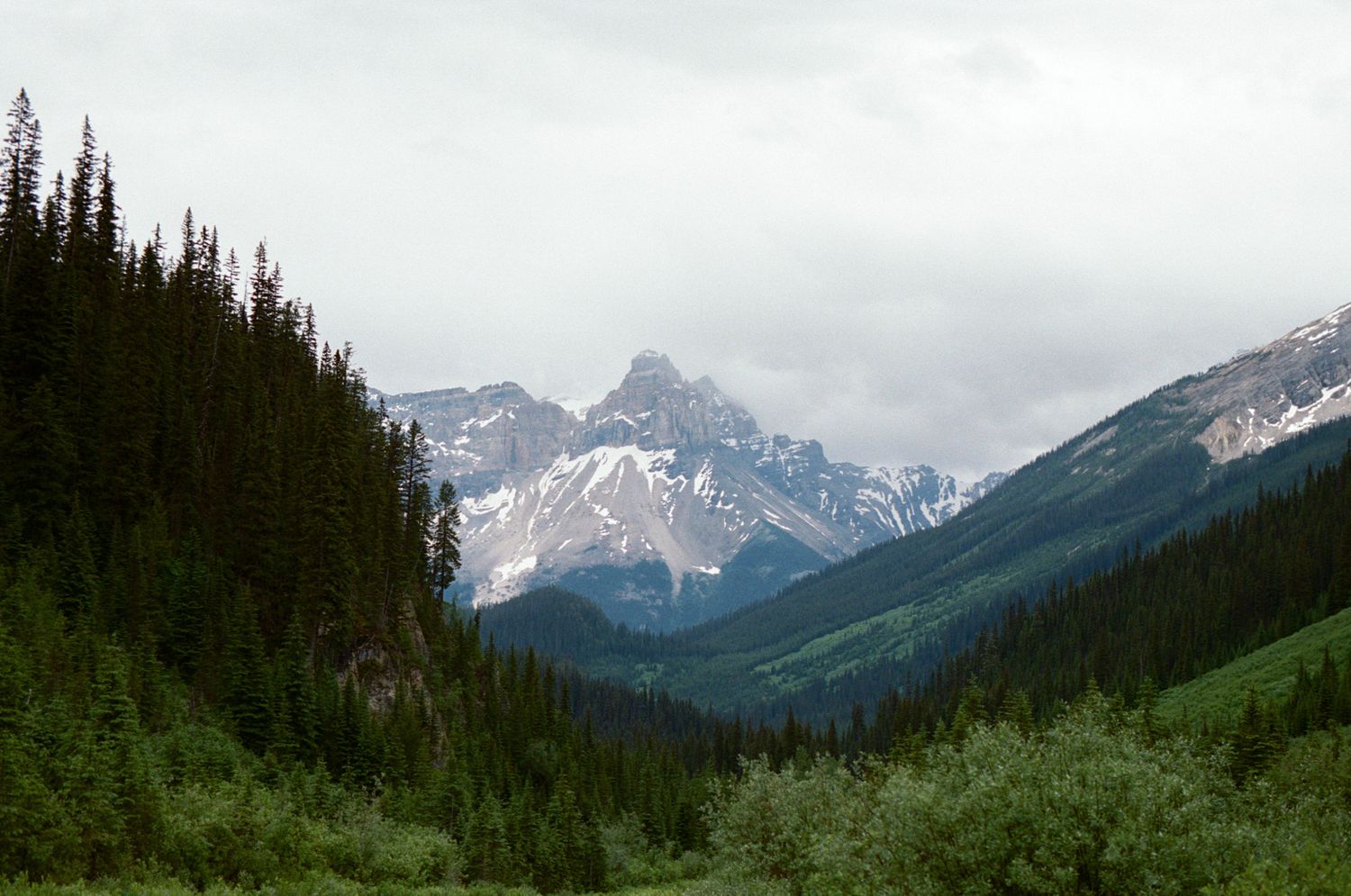 35 mm film photo of a mountain peak framed between two slopes in Yoho National Park