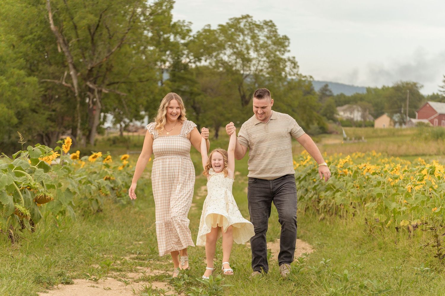 A wooden swing hangs in a field of bright yellow blooming sunflowers on a sunny summer day.