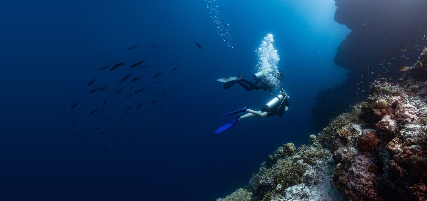 Underwater fashion photo with flowing red dress and nurse sharks swimming in crystal clear turquoise waters.