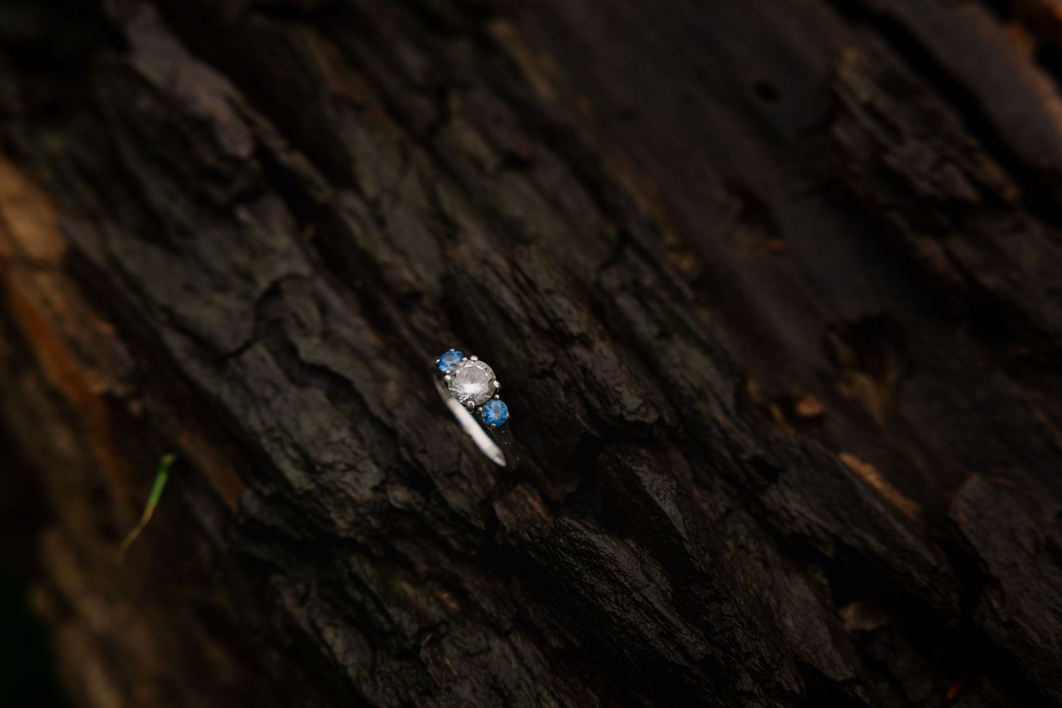 A delicate diamond engagement ring nestled in dark textured tree bark creates a striking natural contrast.