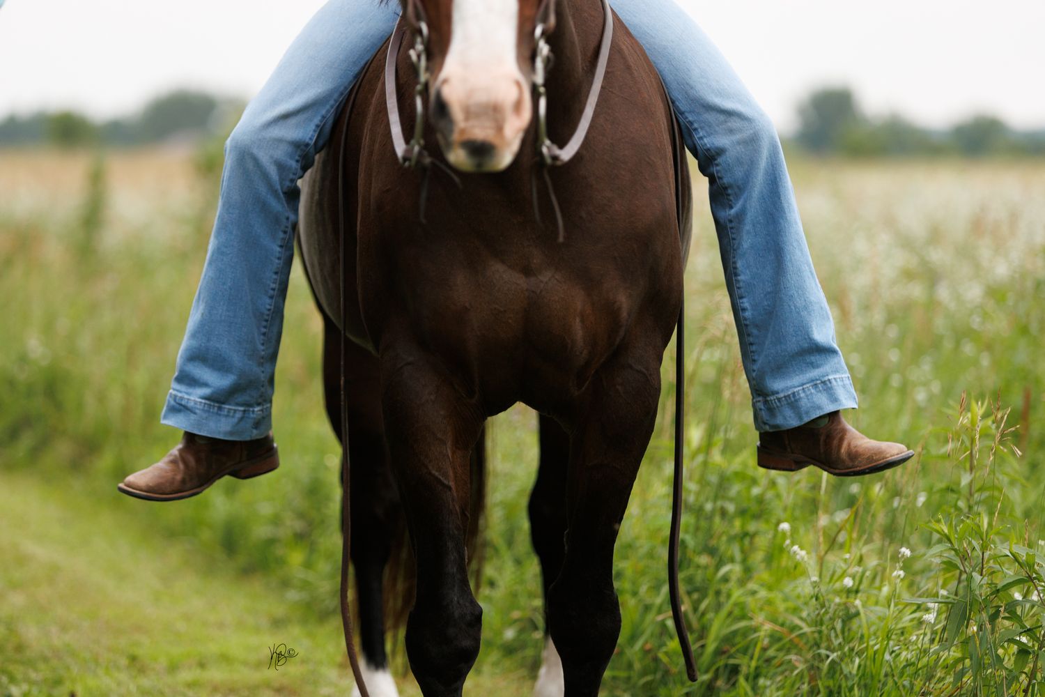 A horse stands in a grassy field with a person's legs visible in blue jeans.