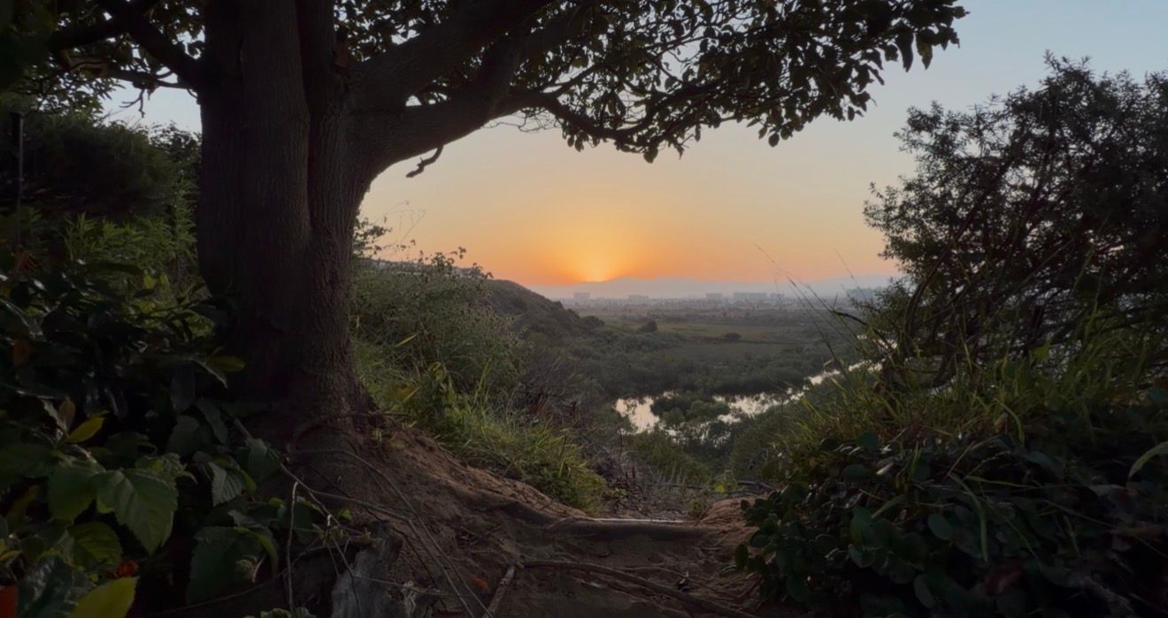 Stunning sunset viewed through lush green trees framing a serene river valley landscape in golden evening light.