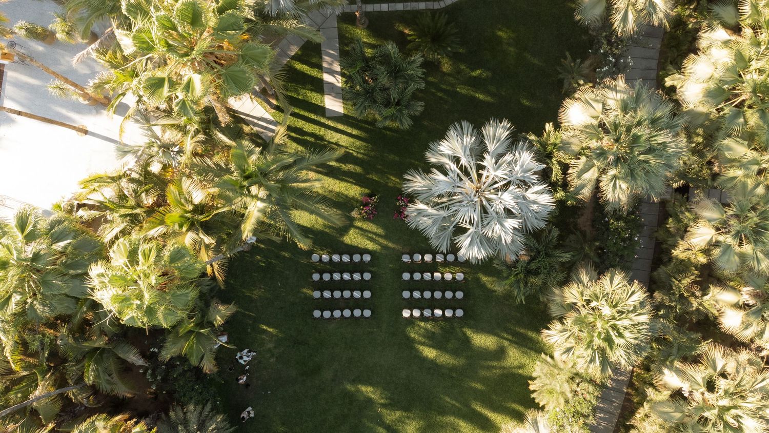 Aerial view of a lush garden with palm trees, green lawn, and symmetrical seating arrangement casting shadows.