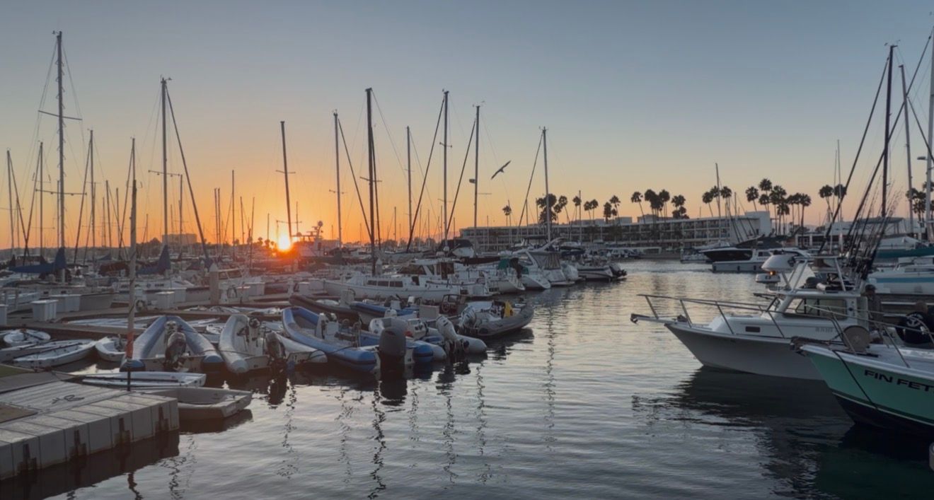 Sailboats and motorboats docked at a marina during a stunning golden sunset with palm trees silhouetted in the background.