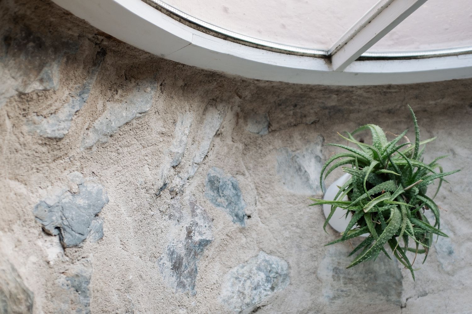 Potted plants and greenery grow along a rustic stone wall with weathered blue paint patches creating a Mediterranean ambiance.