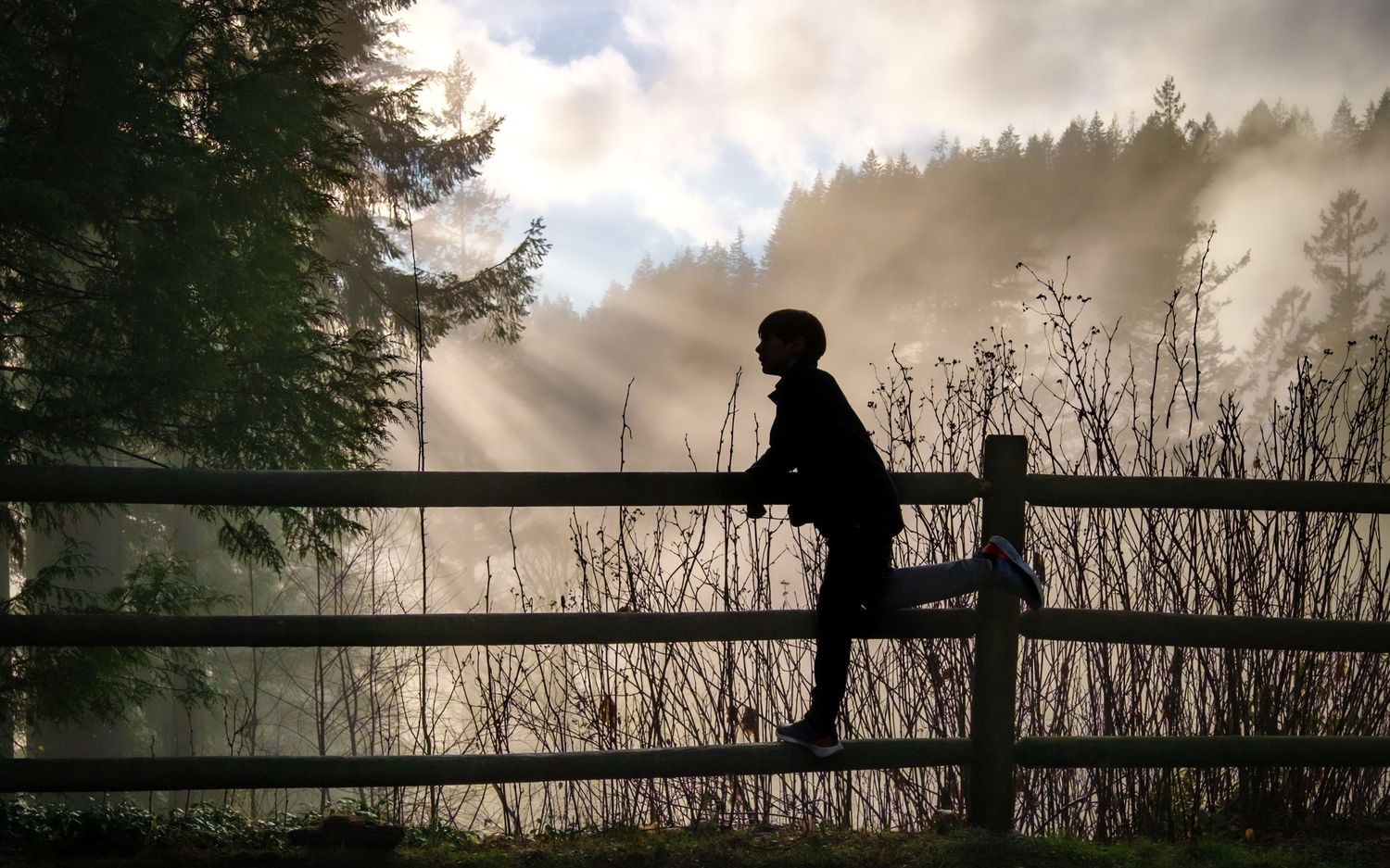 photo of a young boy silhouetted against foggy backdrop of from family photo session at Capilano river, North Vancouver