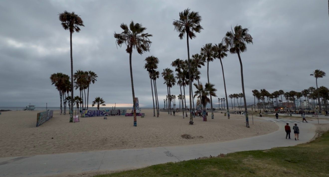 Overcast sky over Venice Beach with tall palm trees, sandy shore, and people walking along a paved path in Los Angeles.