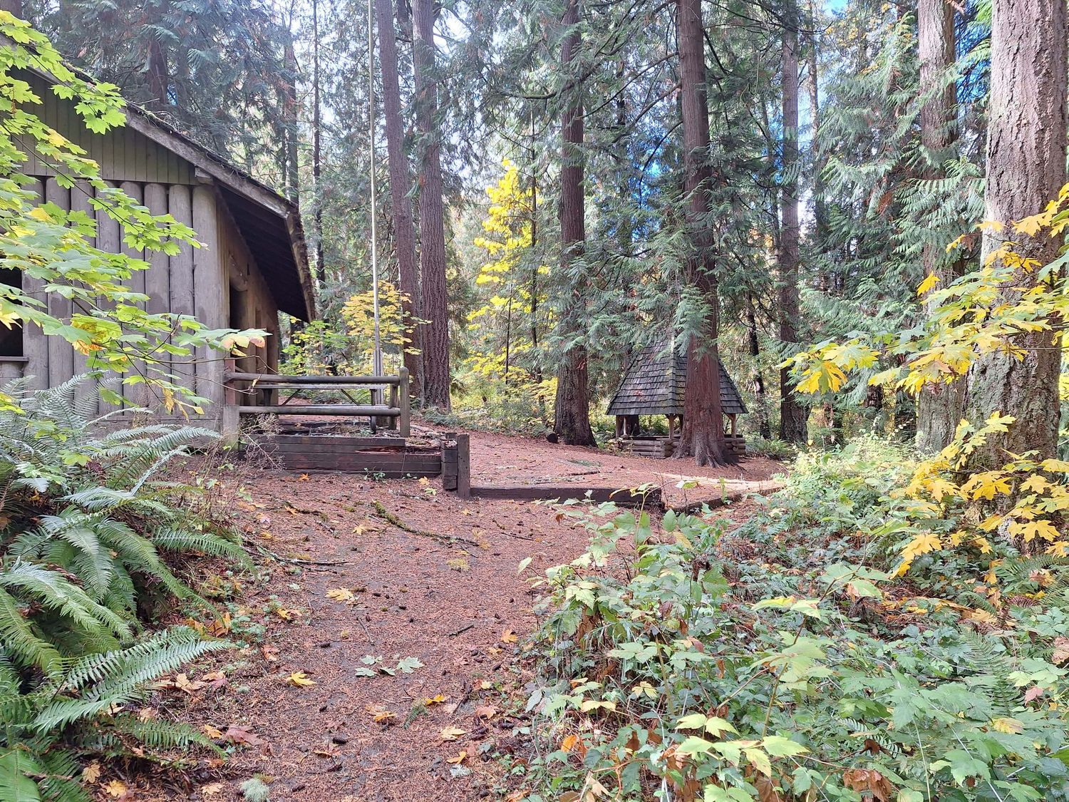Outbuildings at Wildwood Park in Puyallup, WA on a wet, fall, fully colored day.