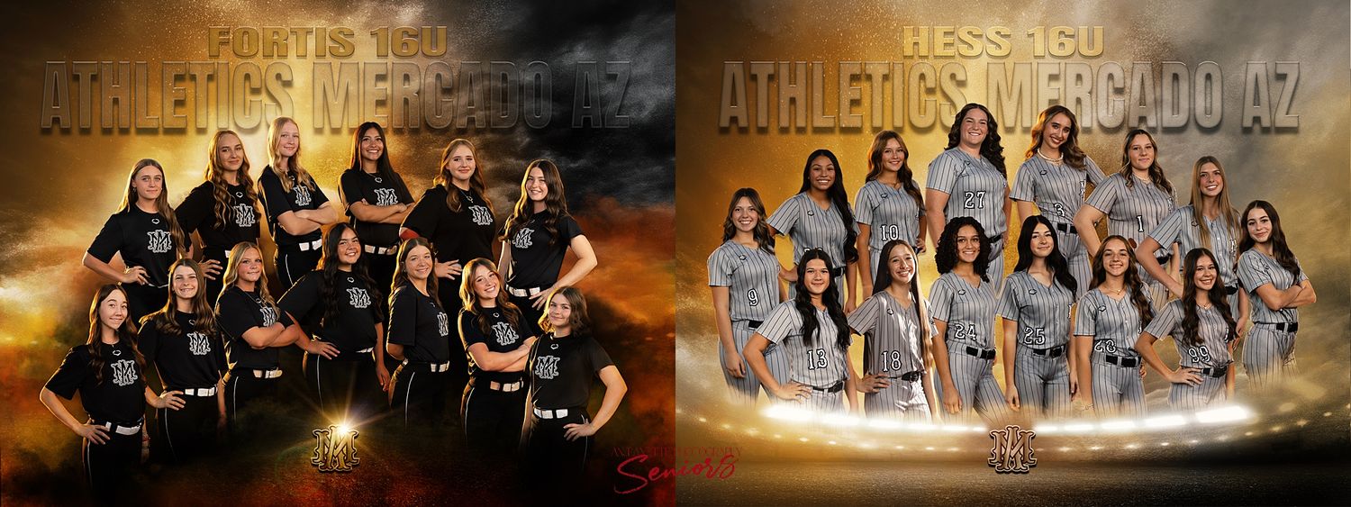 best softball team photo packages in phoenix az sports photographer media day Banners Pictures Anjeanette Photography