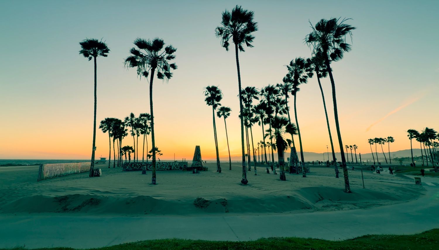 Silhouetted palm trees at Venice Beach skatepark during a stunning golden sunset over the Pacific Ocean.