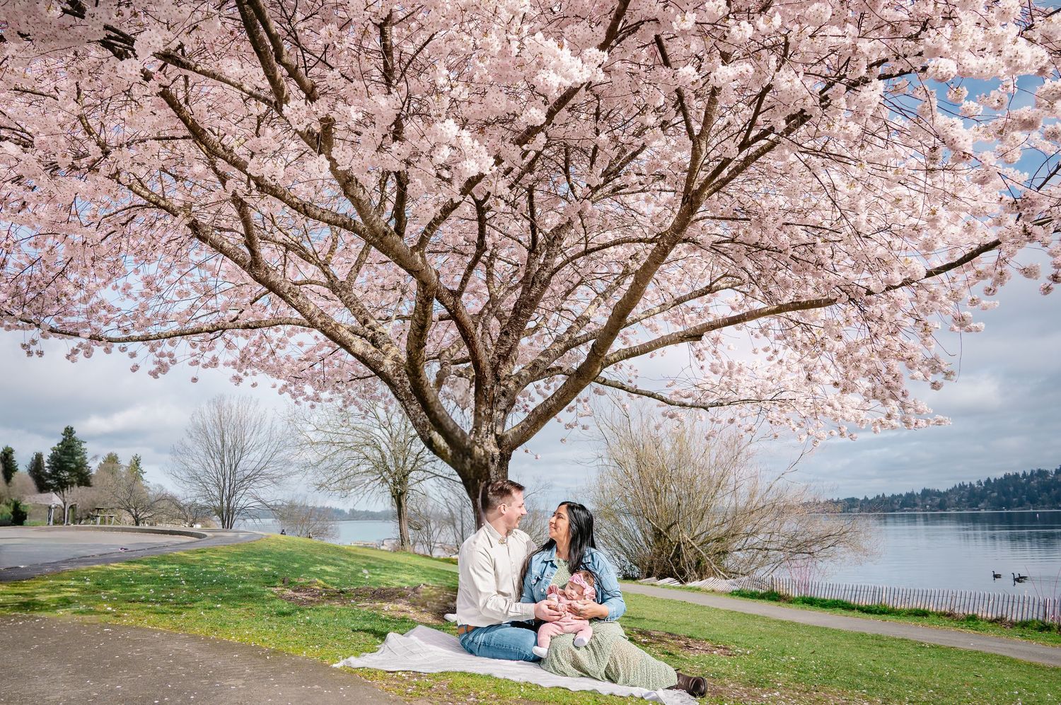 Candid family photo under cherry blossoms in Seattle.