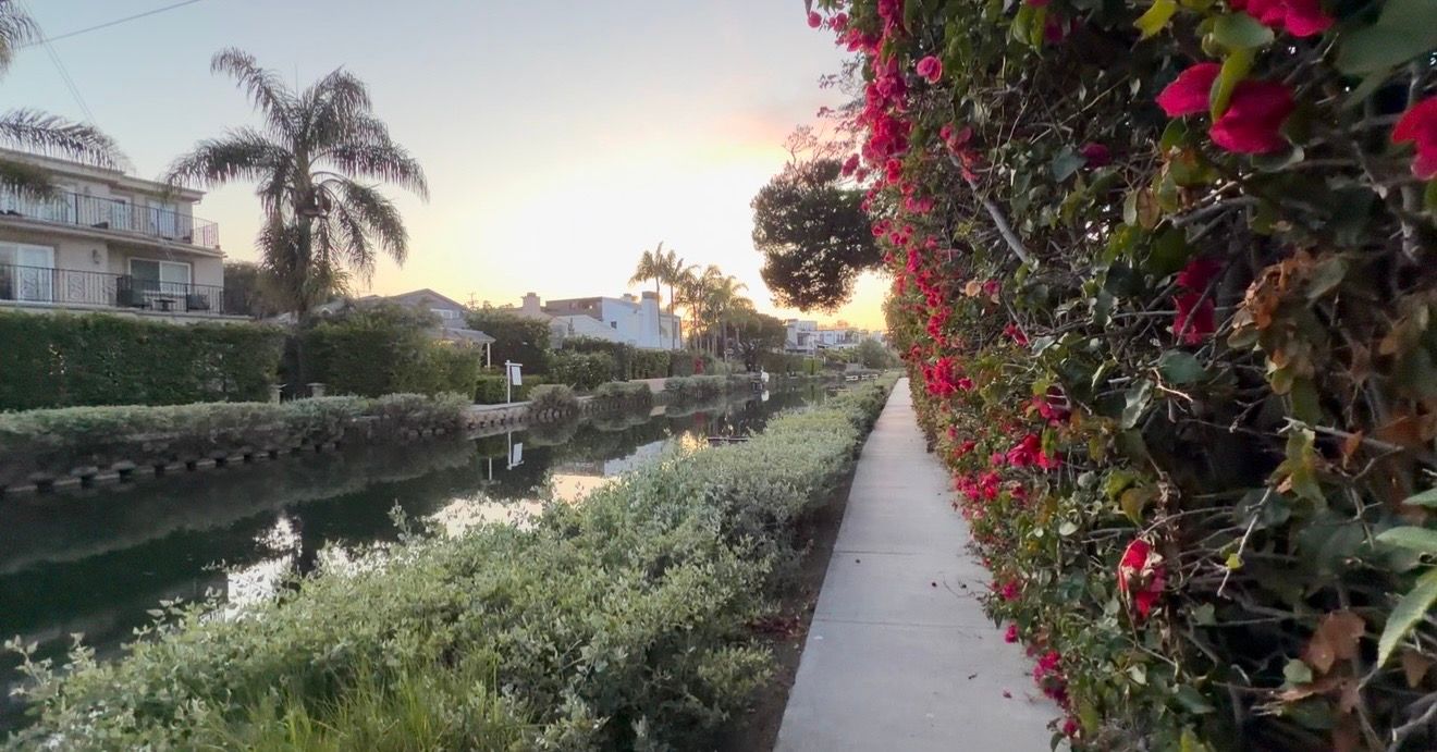 Scenic Venice Canal walkway lined with vibrant bougainvillea flowers and lush greenery at golden sunset in Los Angeles.