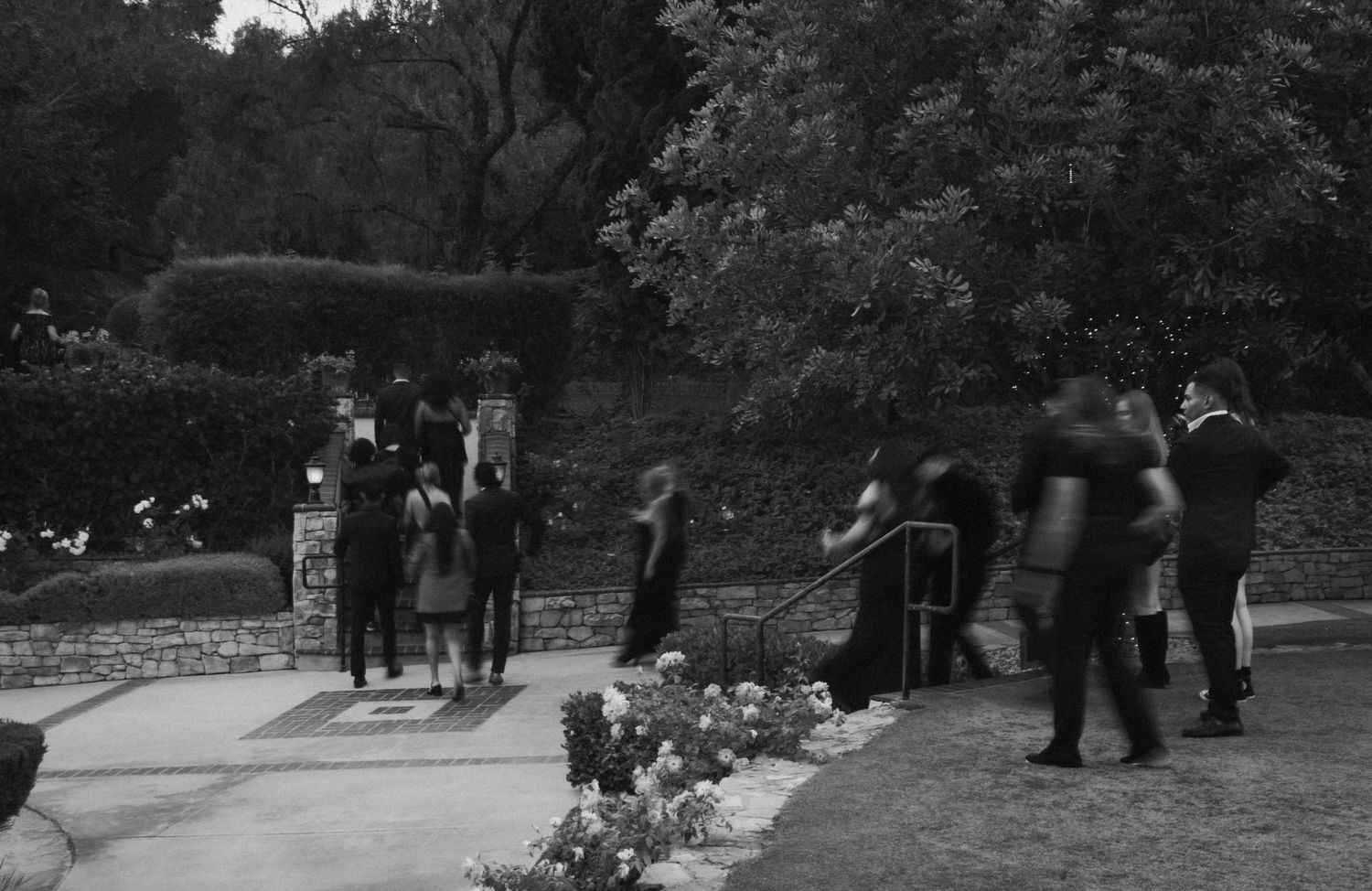 Black and white photograph showing a small group of people gathered on a garden path surrounded by foliage.
