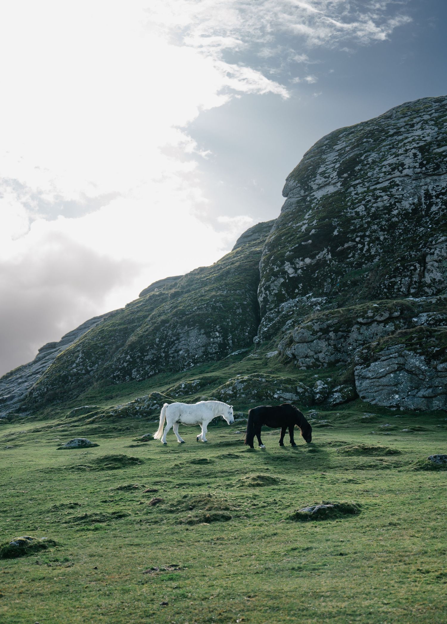 Two horses, one white and one black, graze beneath dramatic mountain cliffs in lush green pasture.