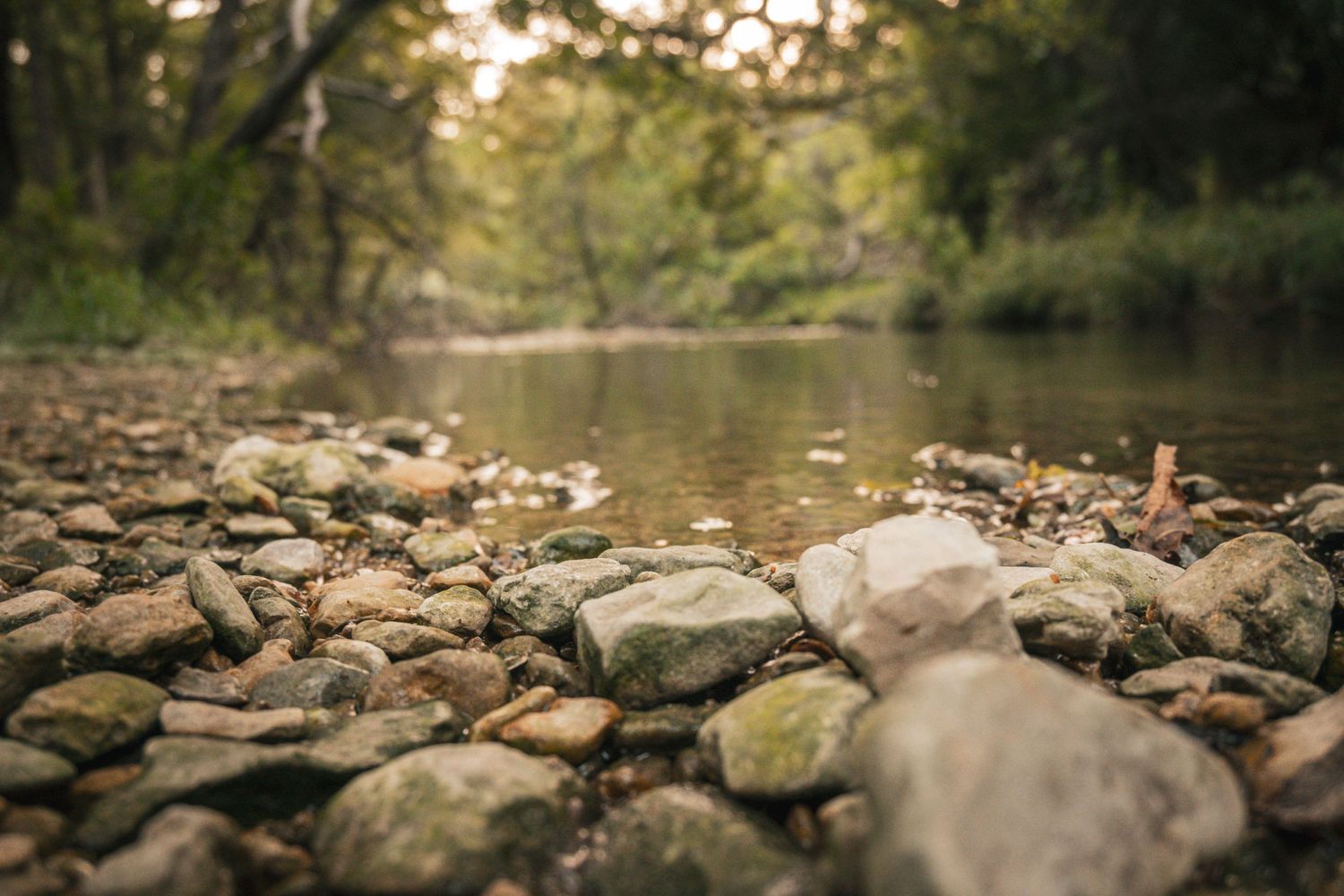Rocky riverbank with smooth stones and boulders leading to a calm shallow creek surrounded by lush green trees.