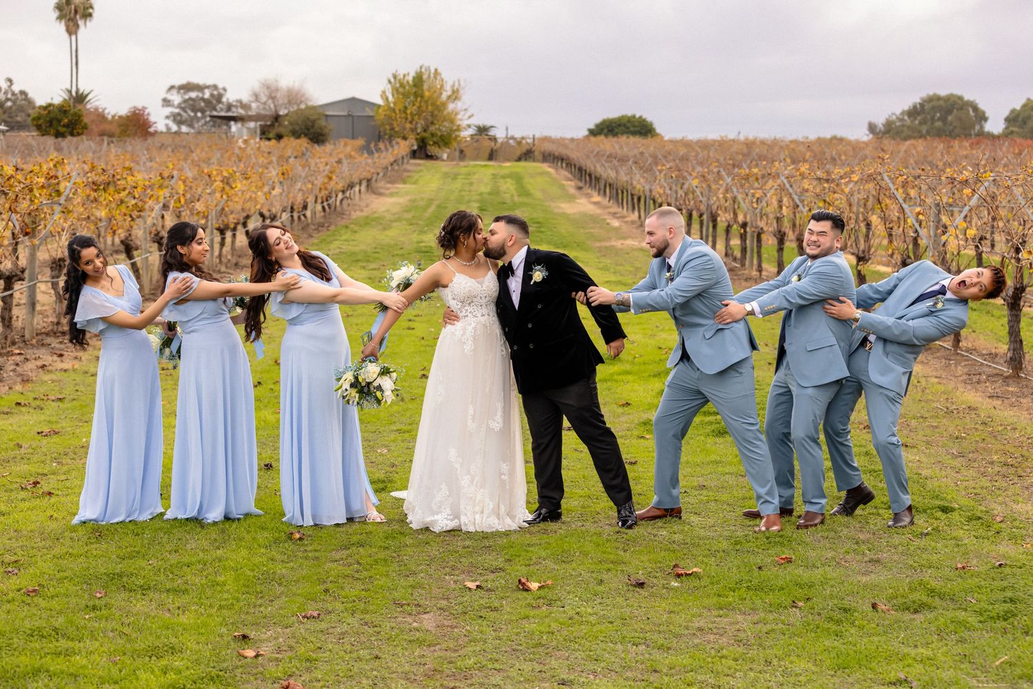 Wedding party laughing and leaning together in a vineyard, bride and groom kissing while bridesmaids and groomsmen pose playfully.