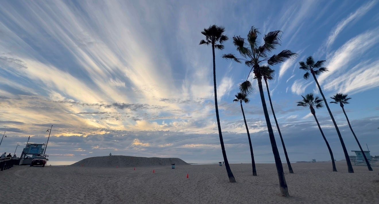 Tall palm trees silhouetted against dramatic streaked clouds during sunset at a sandy beach.