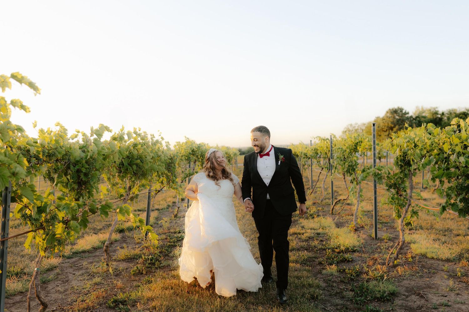 A bride and groom in wedding attire walking together through green vineyard rows at sunset.