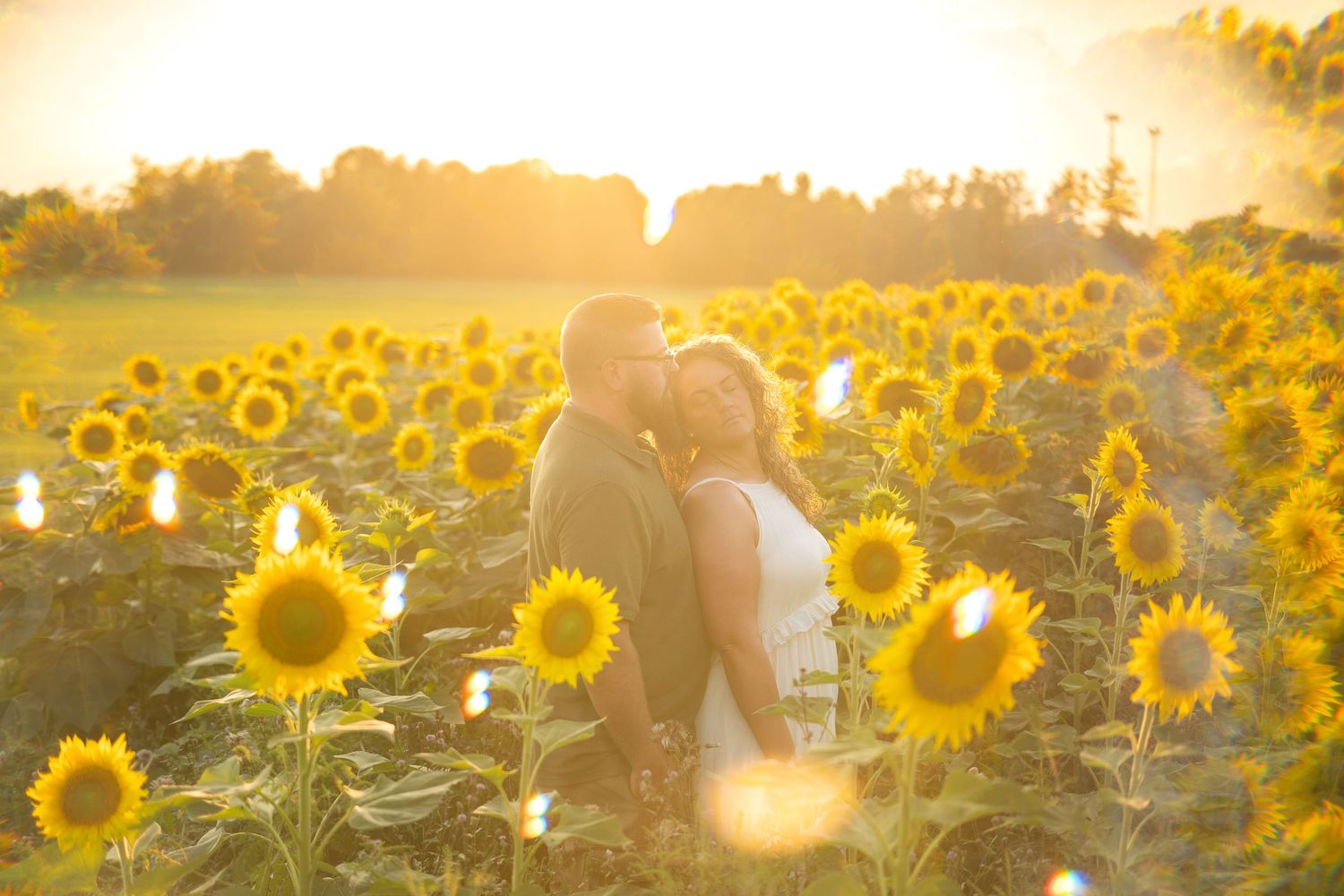 Couple sharing a romantic kiss in a vibrant sunflower field bathed in golden sunset light.