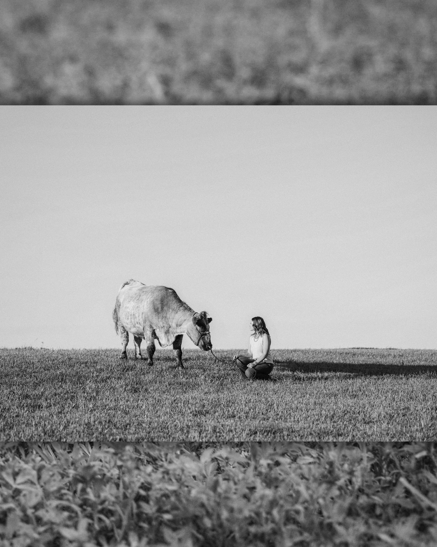 Black and white photo of a woman sitting in a field near a grazing cow on an open grassy landscape.