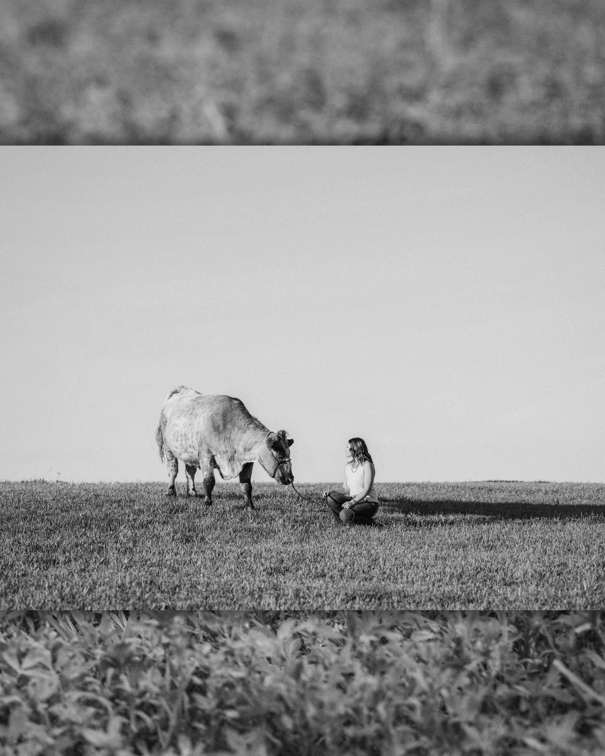 Black and white photo of a woman sitting in a field near a grazing cow on an open grassy landscape.