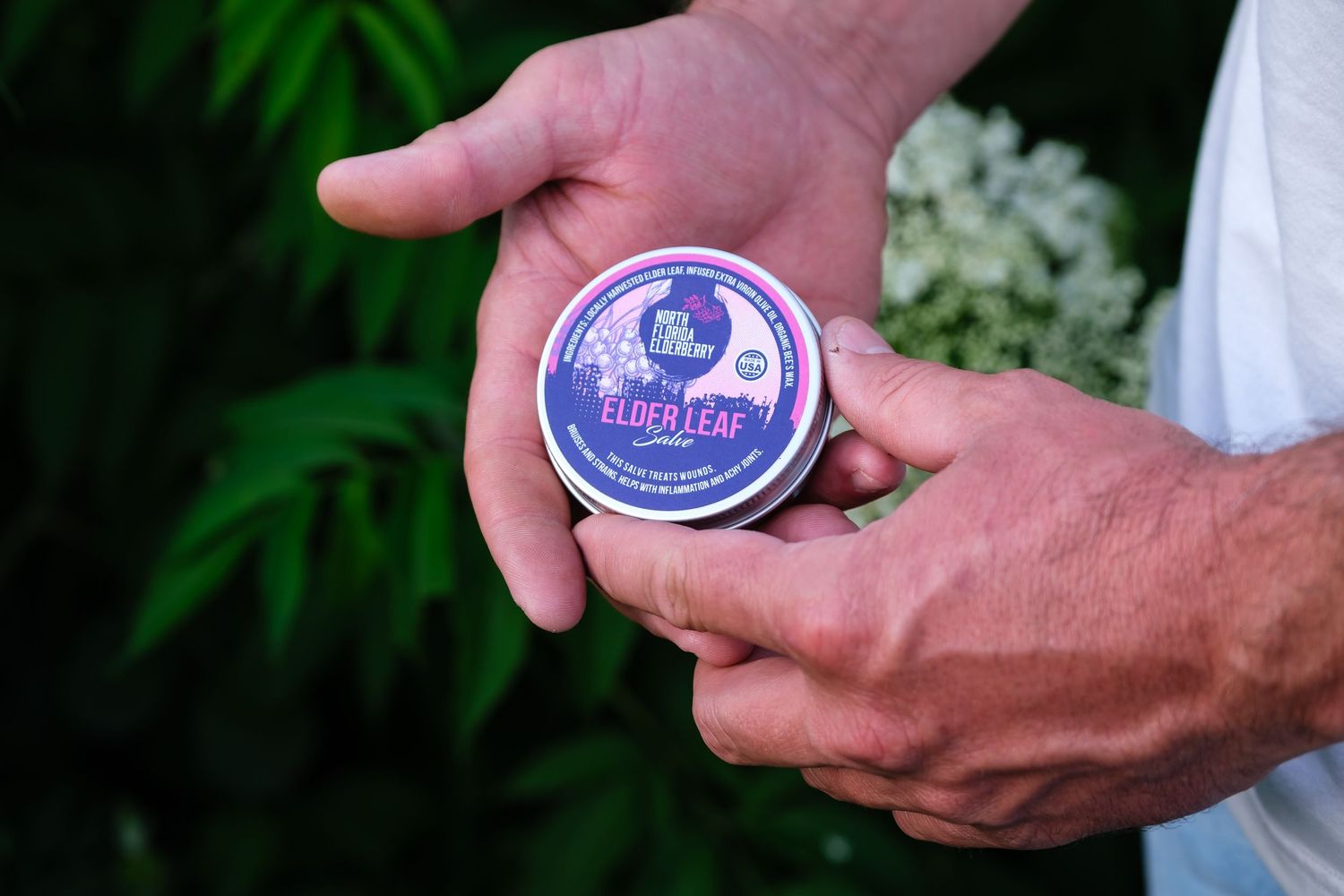 A commercial branding photograph of North Florida Elderberry.
