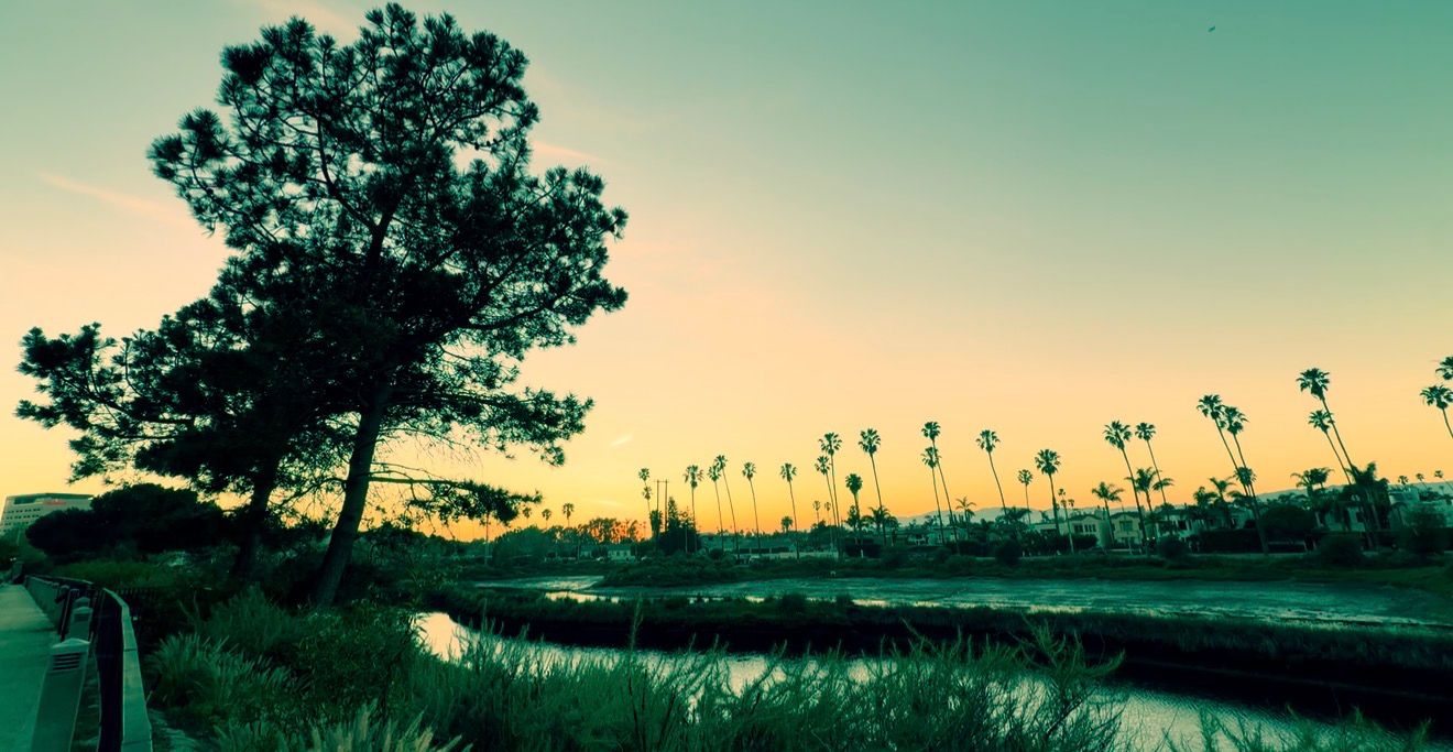 A panoramic collage of scenic landscapes featuring trees, water, and sunset skies in muted teal and orange tones.