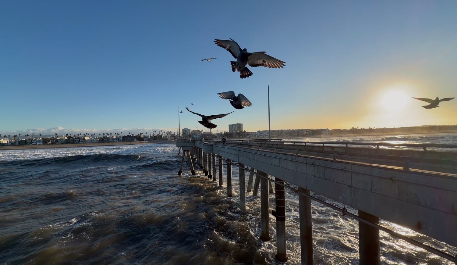 Seagulls soar over a scenic beach pier at sunset with golden light reflecting off the ocean waves.